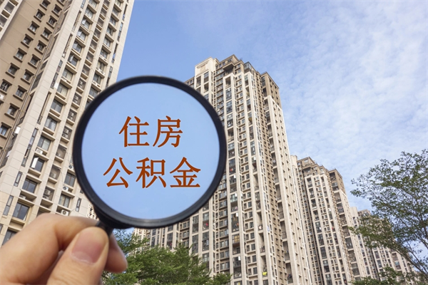 林芝个人公积金去哪儿取（住房公积金个人到哪里提取）